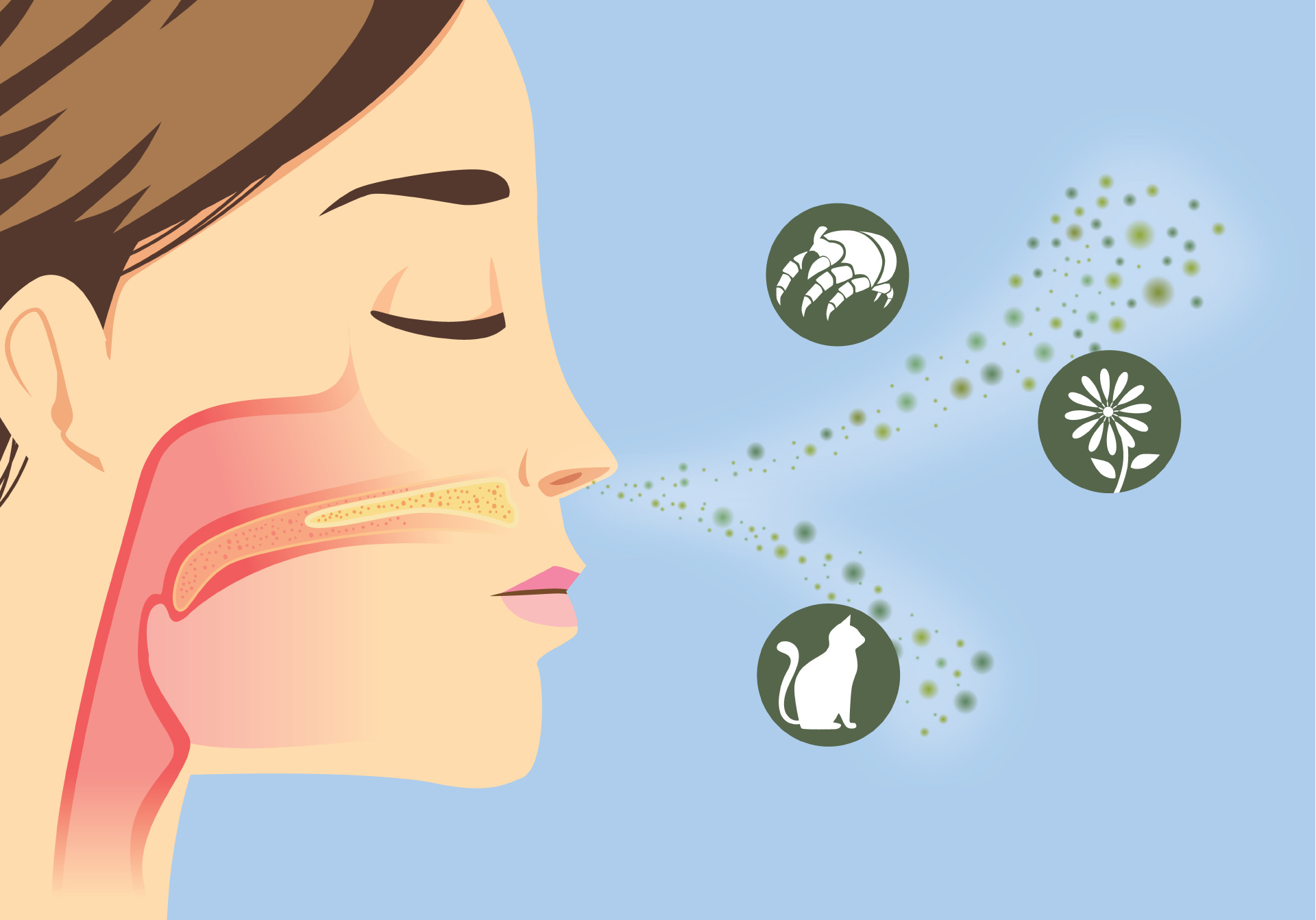 Como. curar la alergia a las nueces